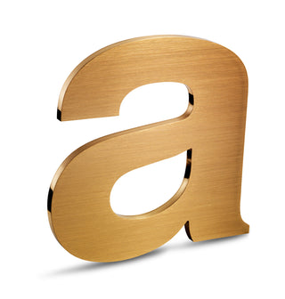 Solid Cut Bronze Letters